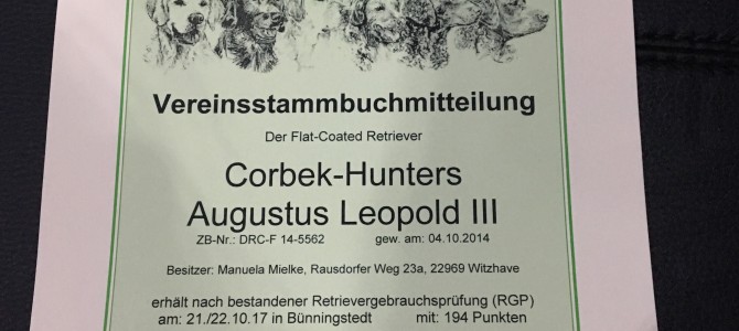 Vereinsstammbuchmitteilung für unseren Leo ! Vereinsstammbuchmitteilung für unseren Leo !
