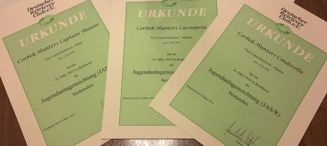 Der C-Wurf auf Prüfungskurs- JAS am 24.03.2019 bestanden Der C-Wurf auf Prüfungskurs- JAS am 24.03.2019 bestanden